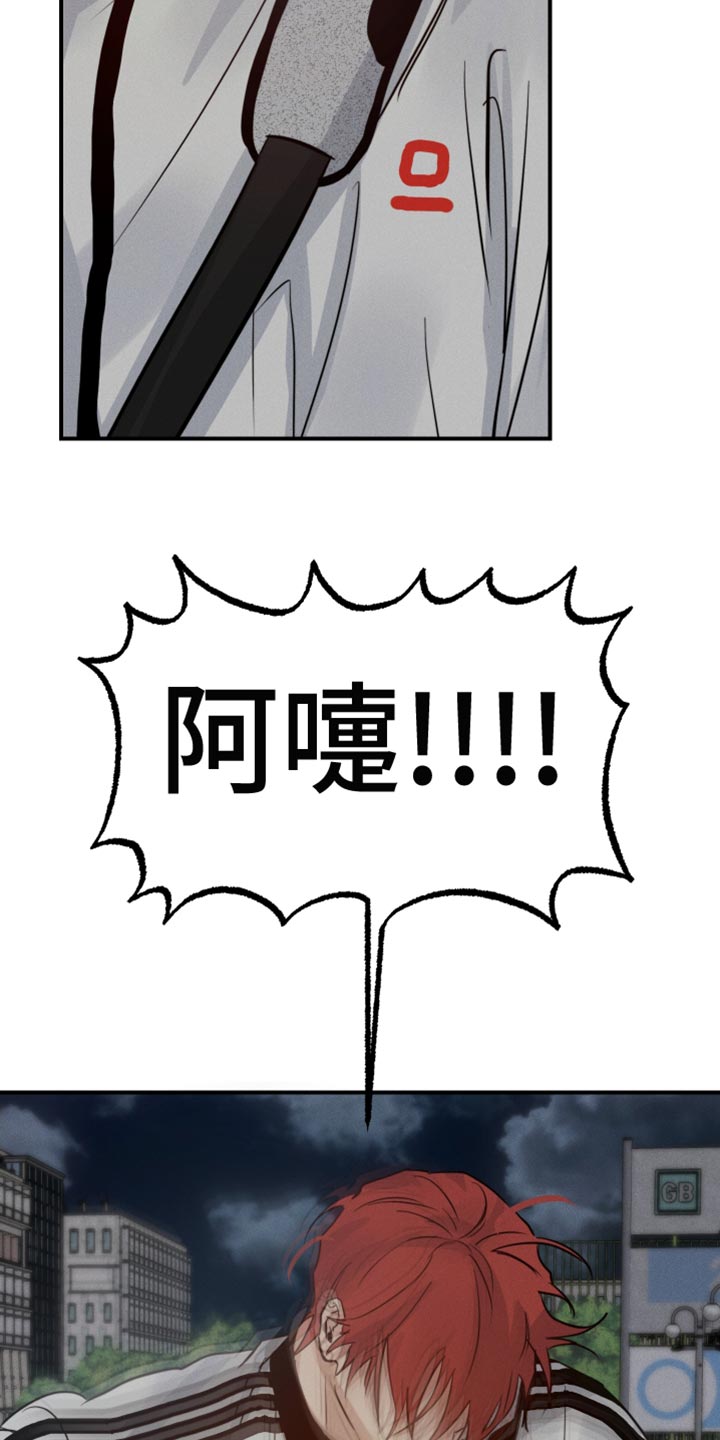 第45章：喜欢企鹅30