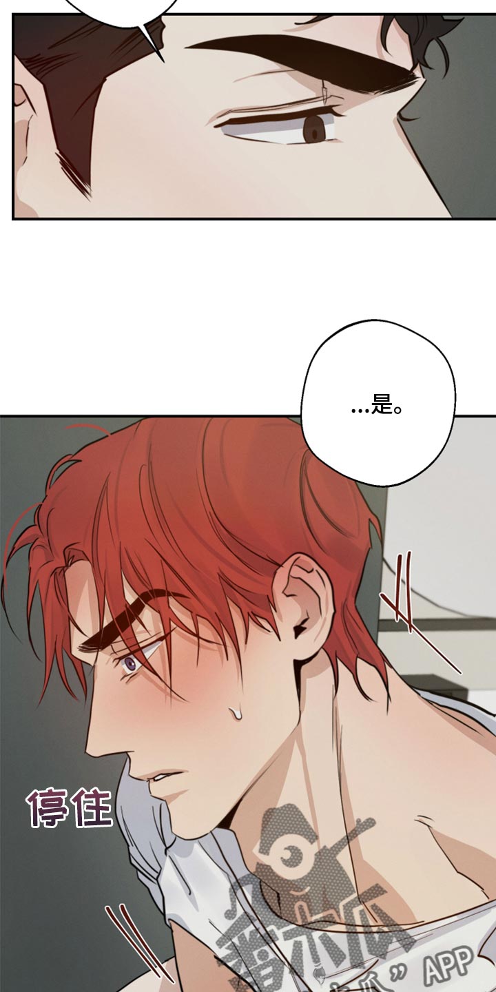 第40章：不是梦16