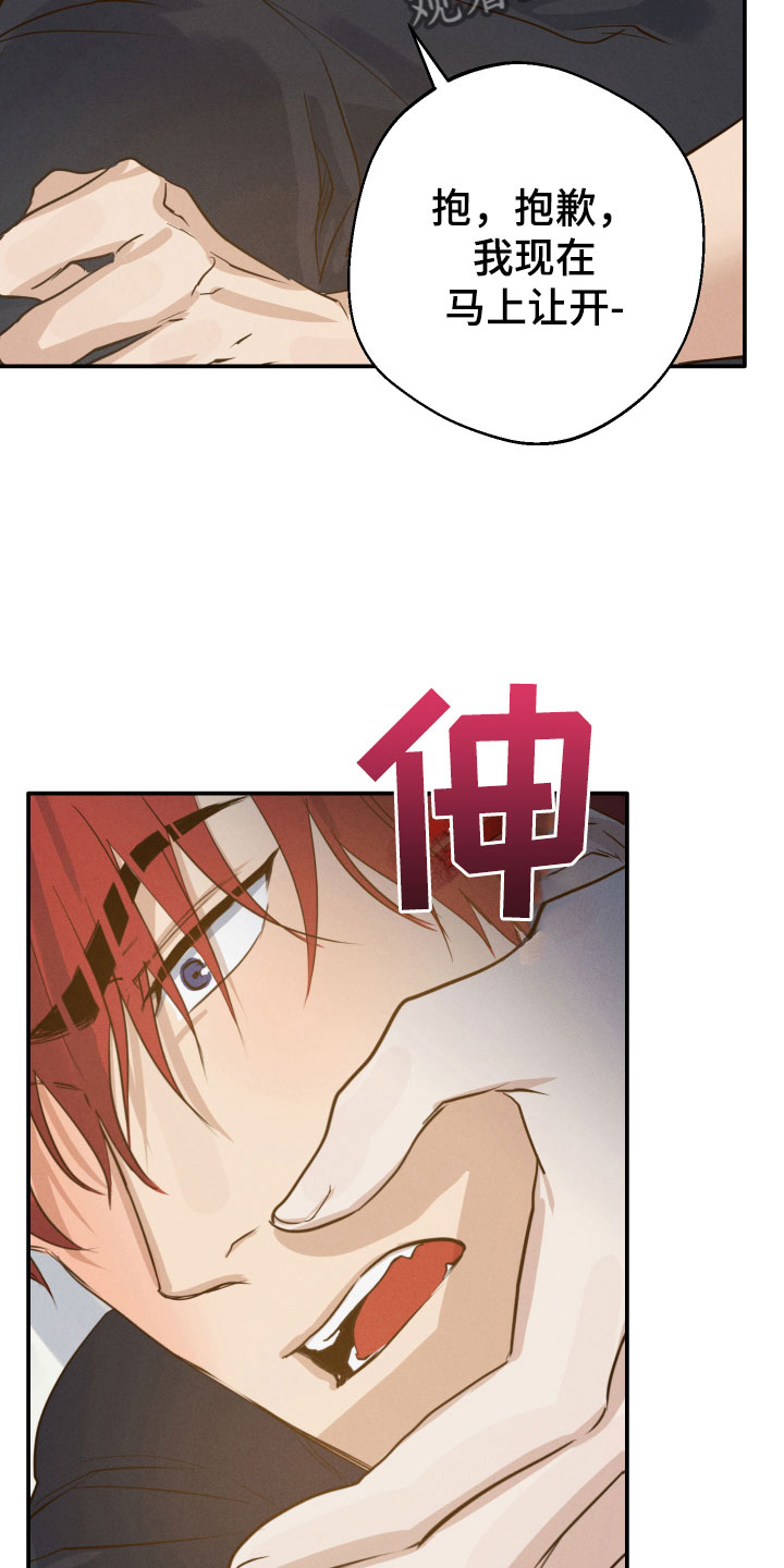 第7章：意外惊喜19