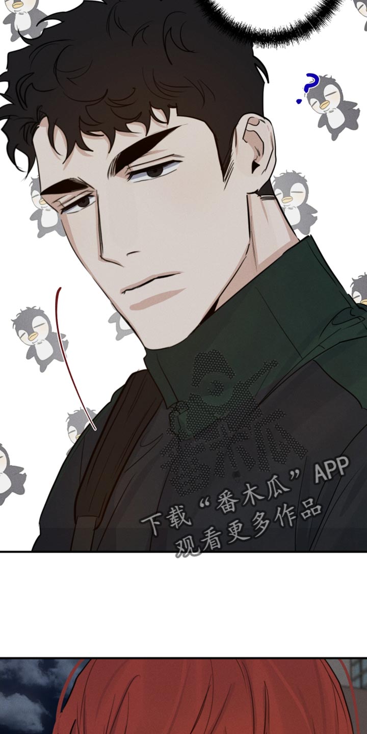 第45章：喜欢企鹅10