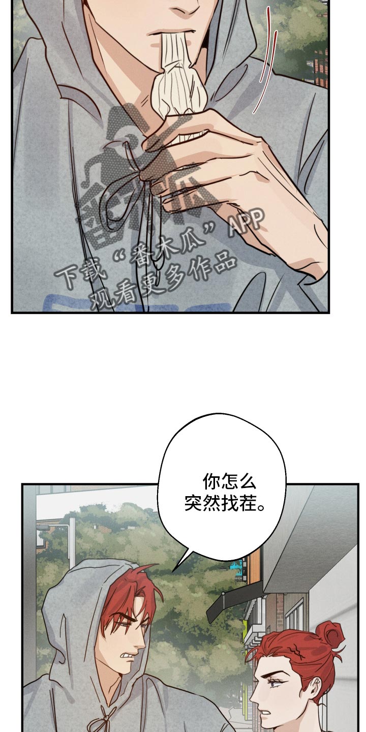 第52章：到底是谁11