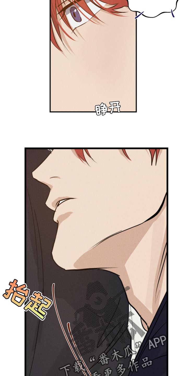 第29章：幻影28