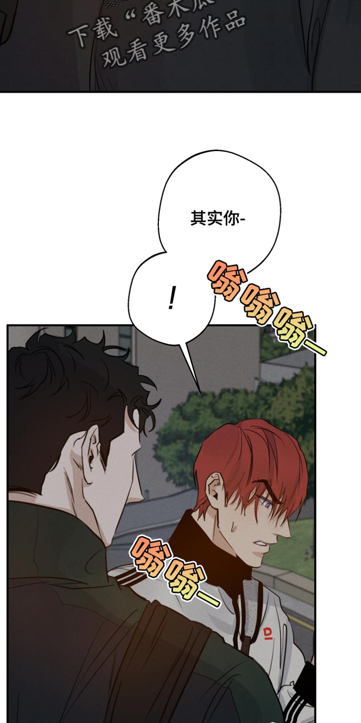 第45章：喜欢企鹅14