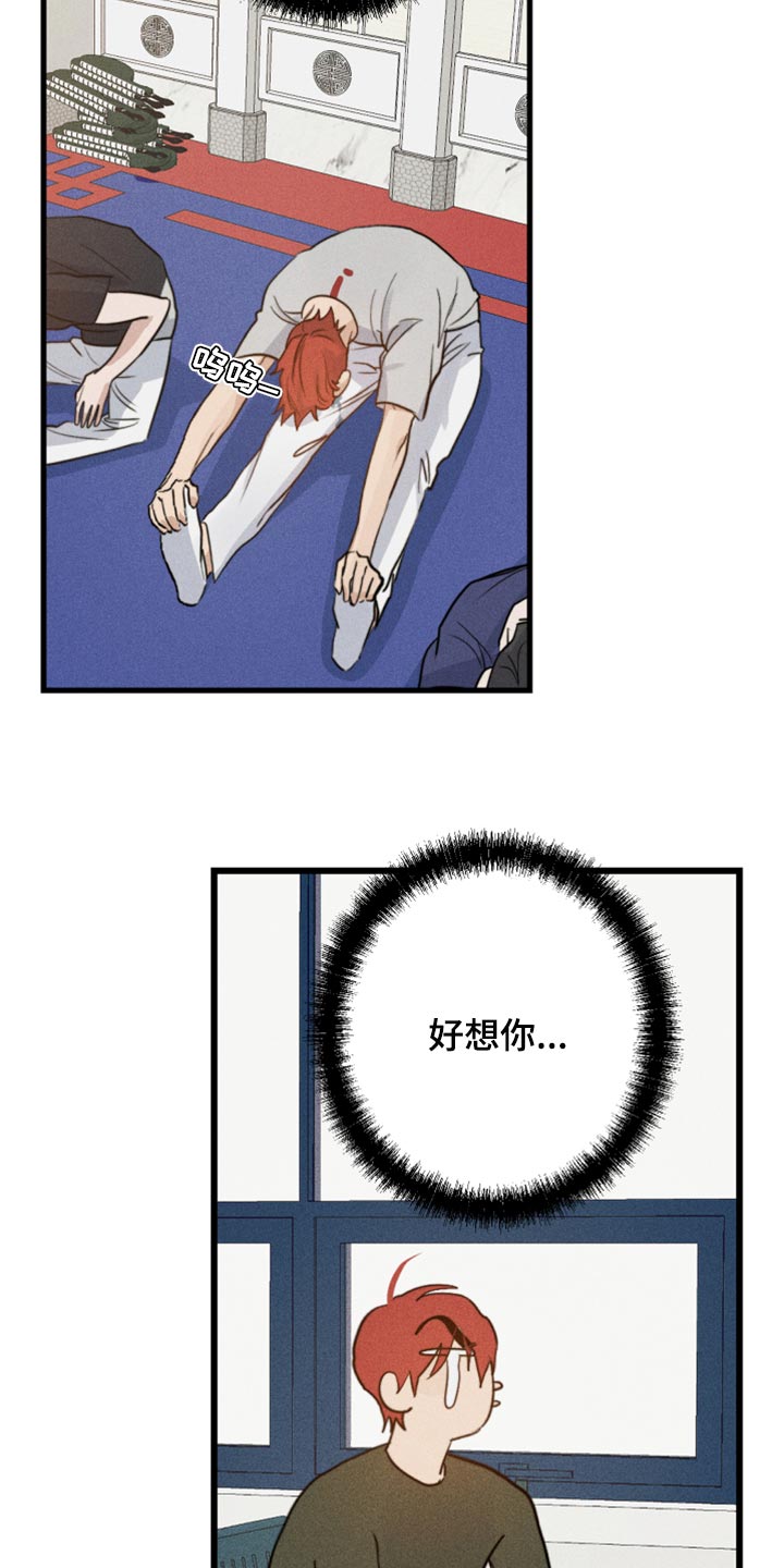 第29章：幻影20
