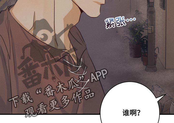 第54章：【番外】圣诞节18