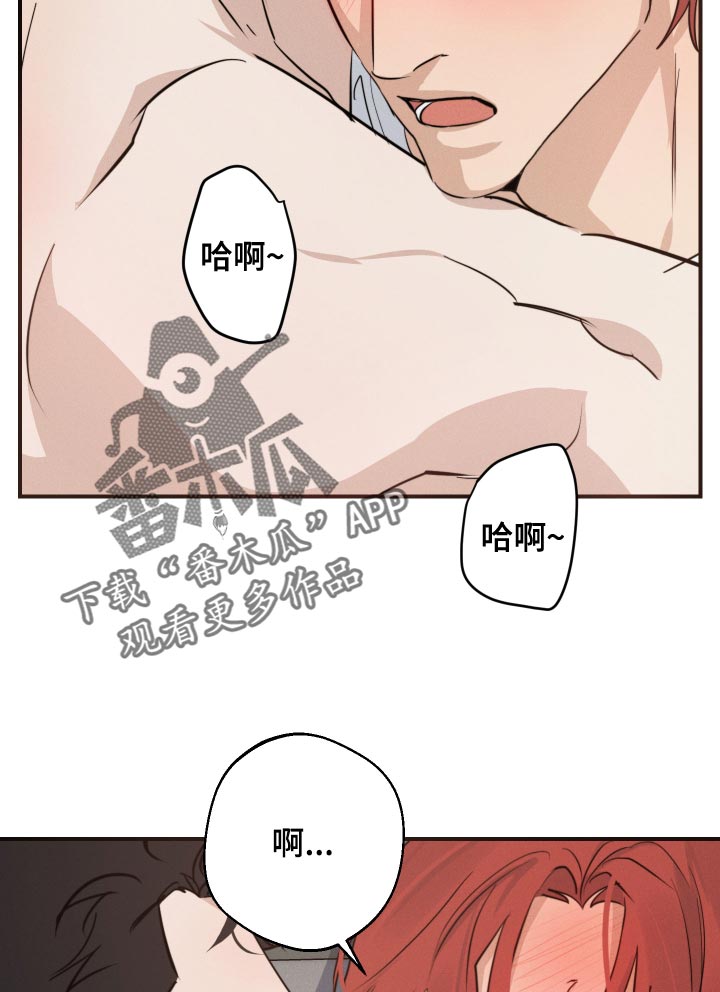 第41章：明明要问清楚12
