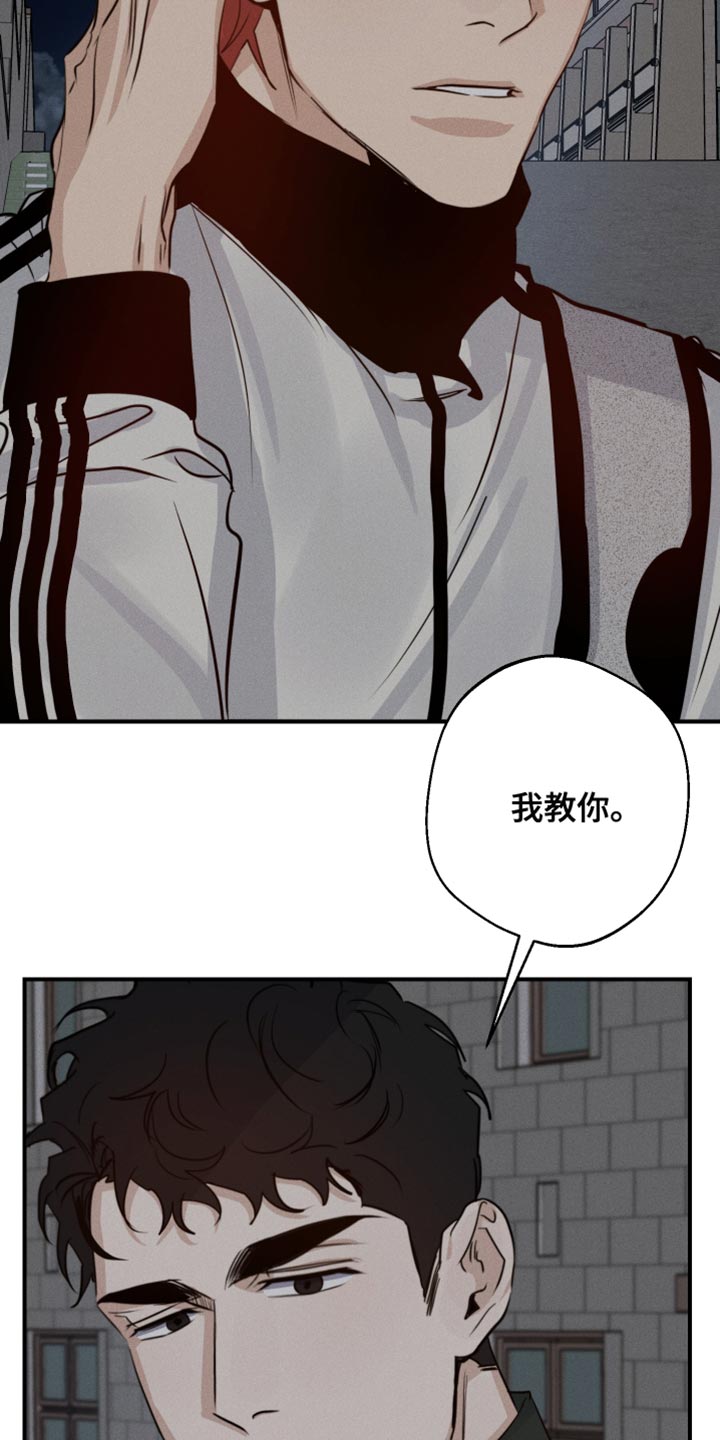 第45章：喜欢企鹅18