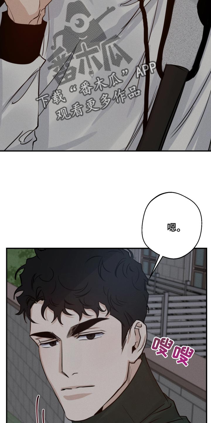 第45章：喜欢企鹅22