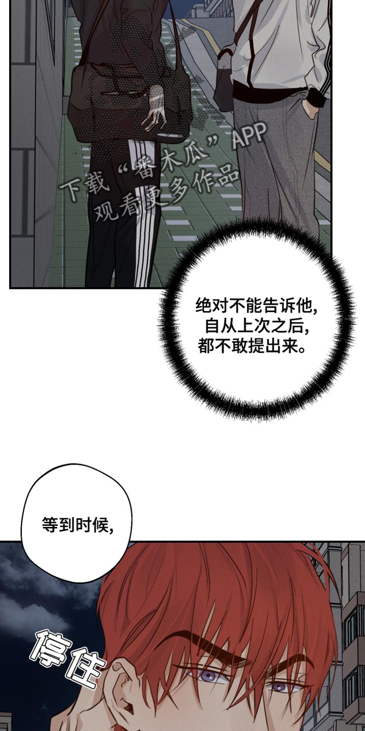第45章：喜欢企鹅17