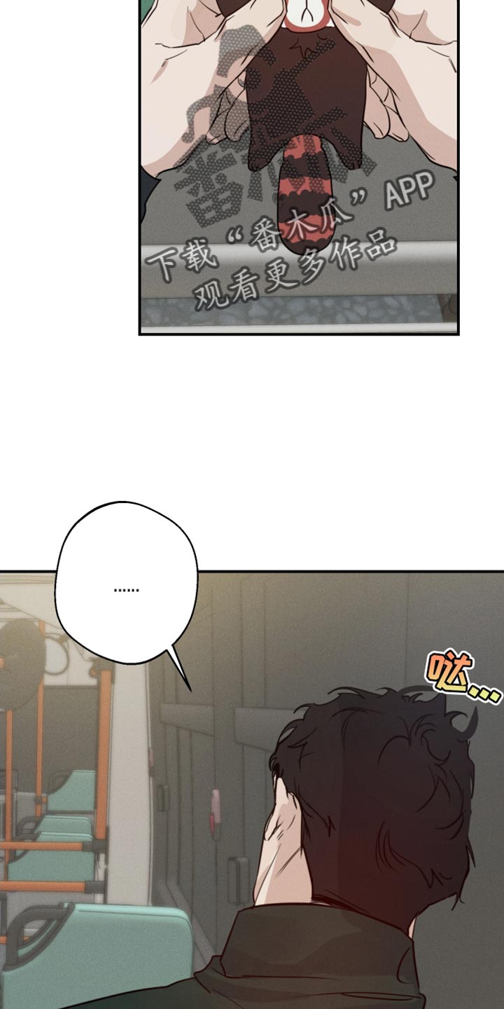 第45章：喜欢企鹅28