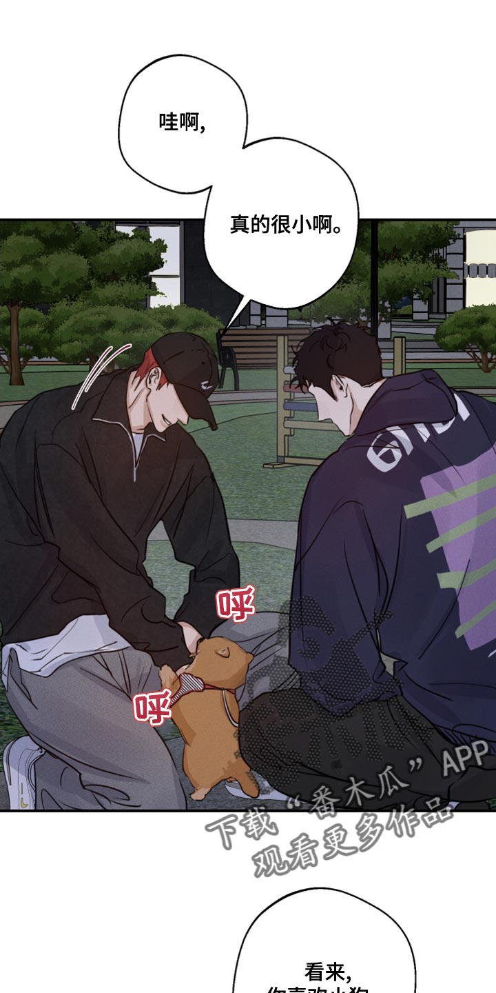 第50章：散步12