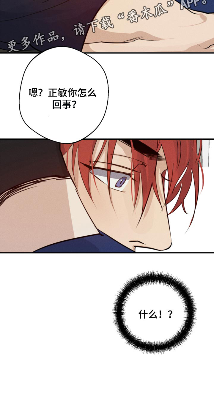 第29章：幻影35