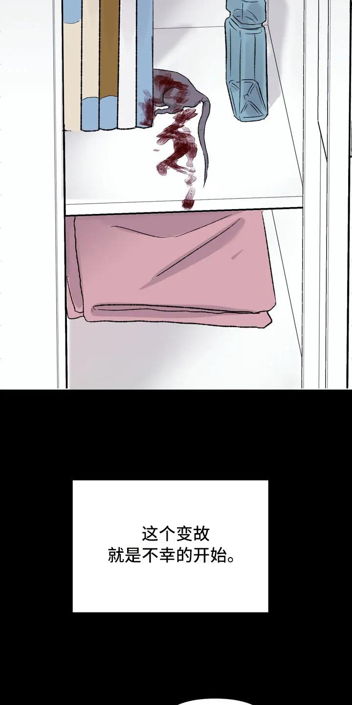 第3章：镜界暗面：不幸的开端9