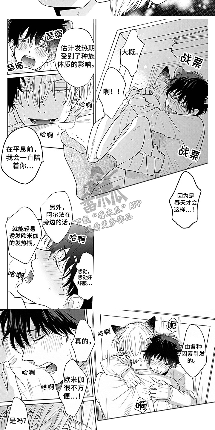 第21章：害羞了 5