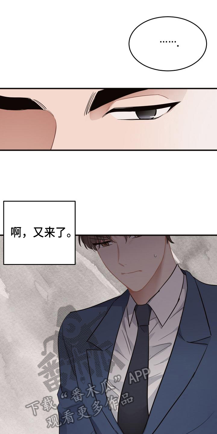 第15章：提议13