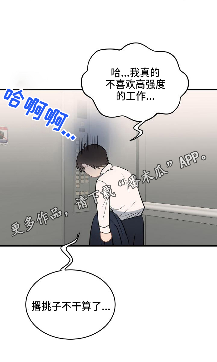 第11章：布置19
