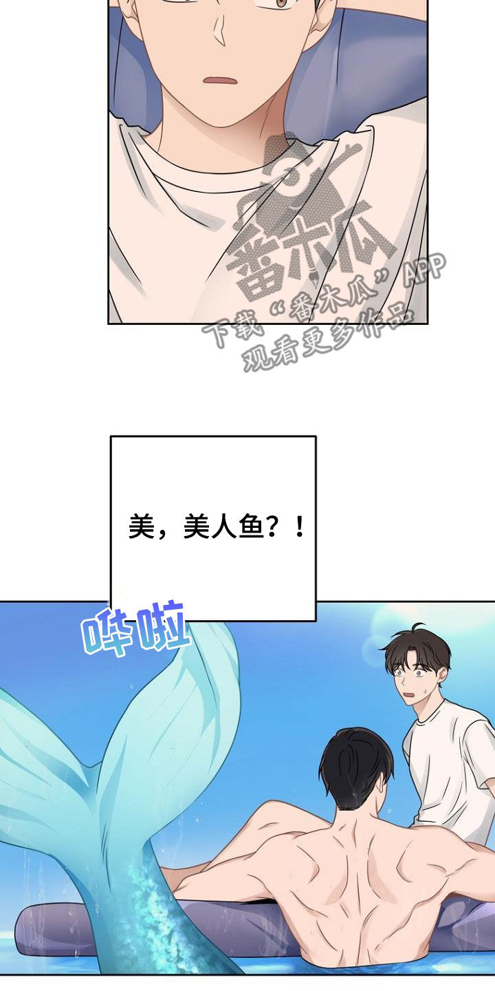 第53章：美梦16