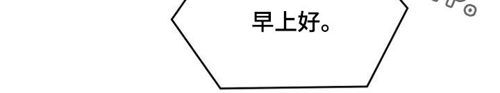 第24章：客服服务16