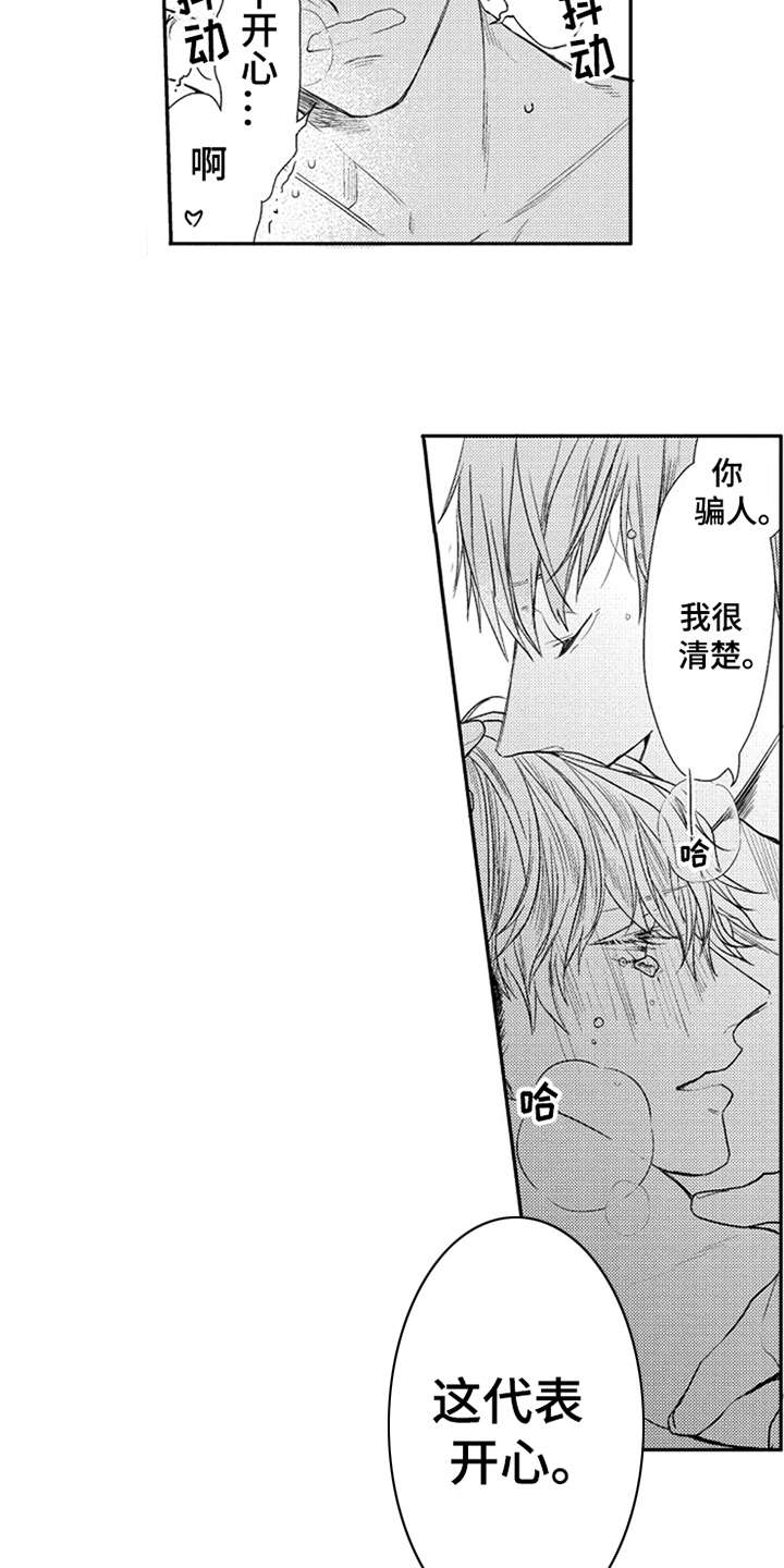 第17章：能够理解17