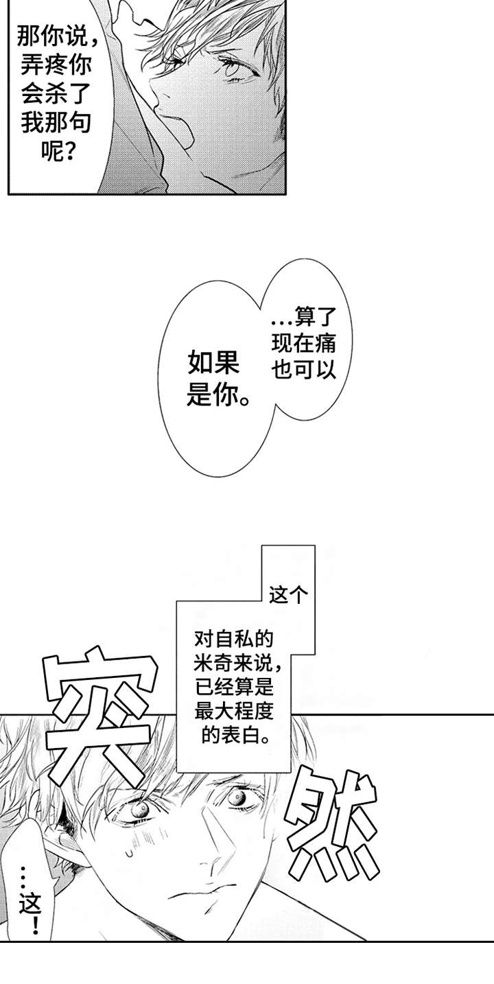 第17章：能够理解14