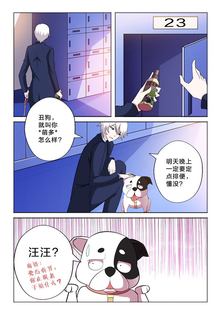第33章：巧合2