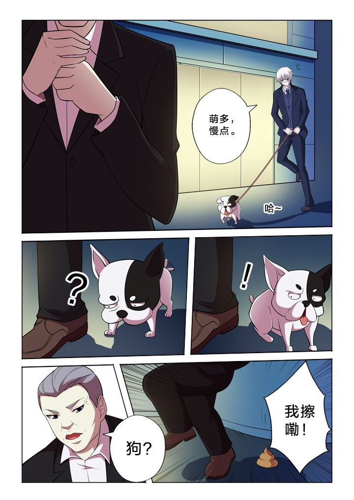第33章：巧合5