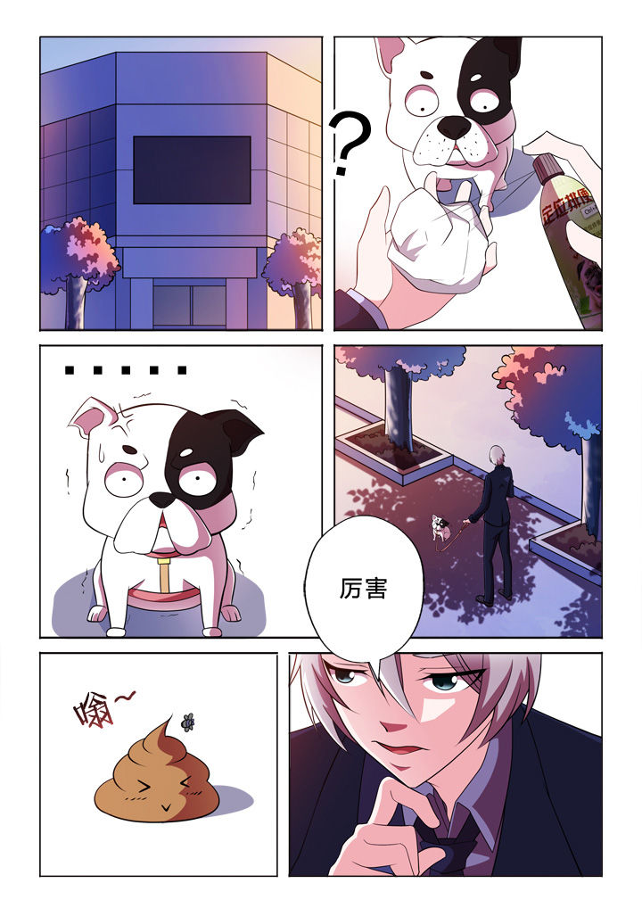 第33章：巧合1