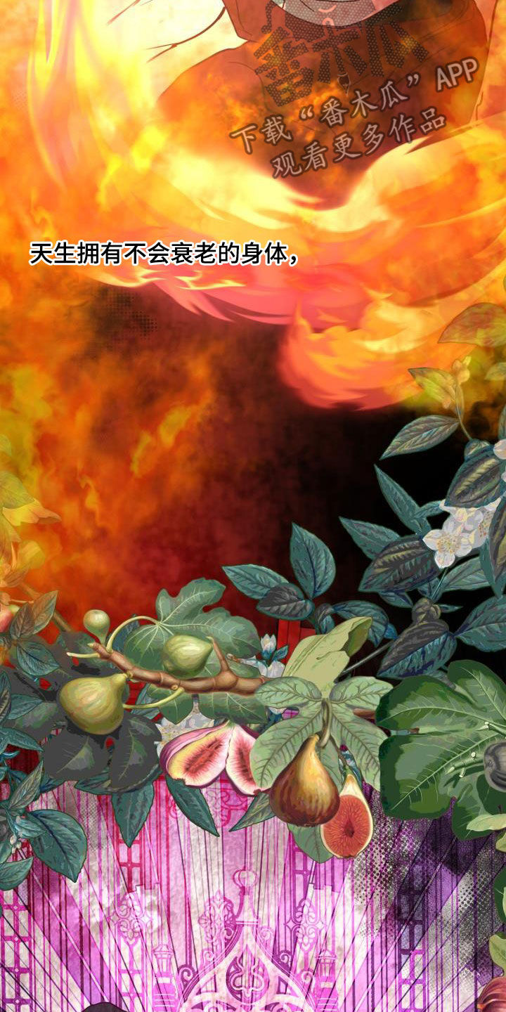 第62章：【第二季】永生不死22