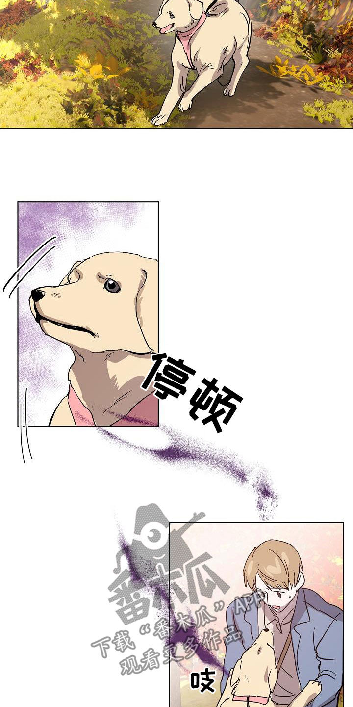 第40章：大胆8