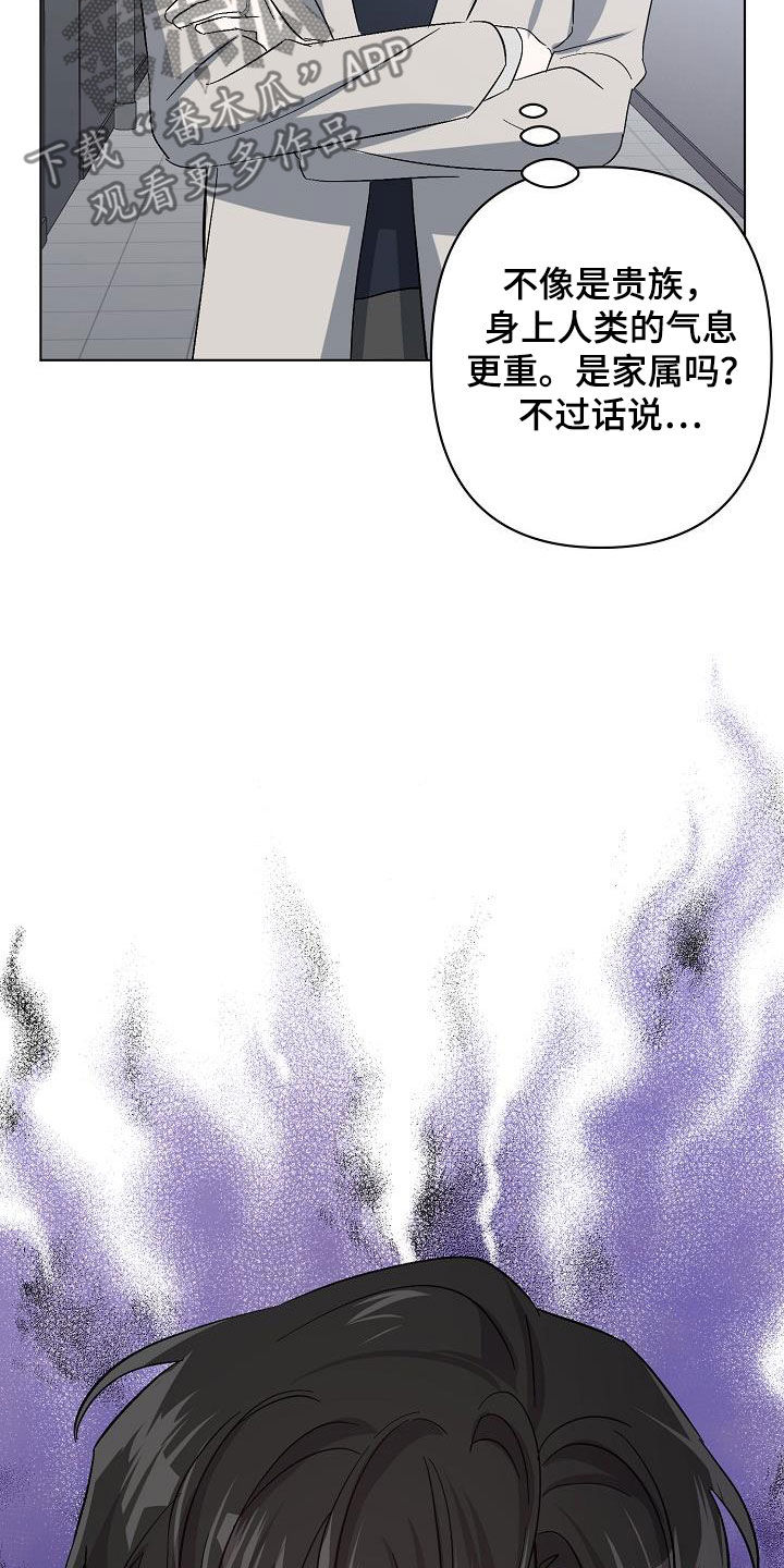 第45章：调查6