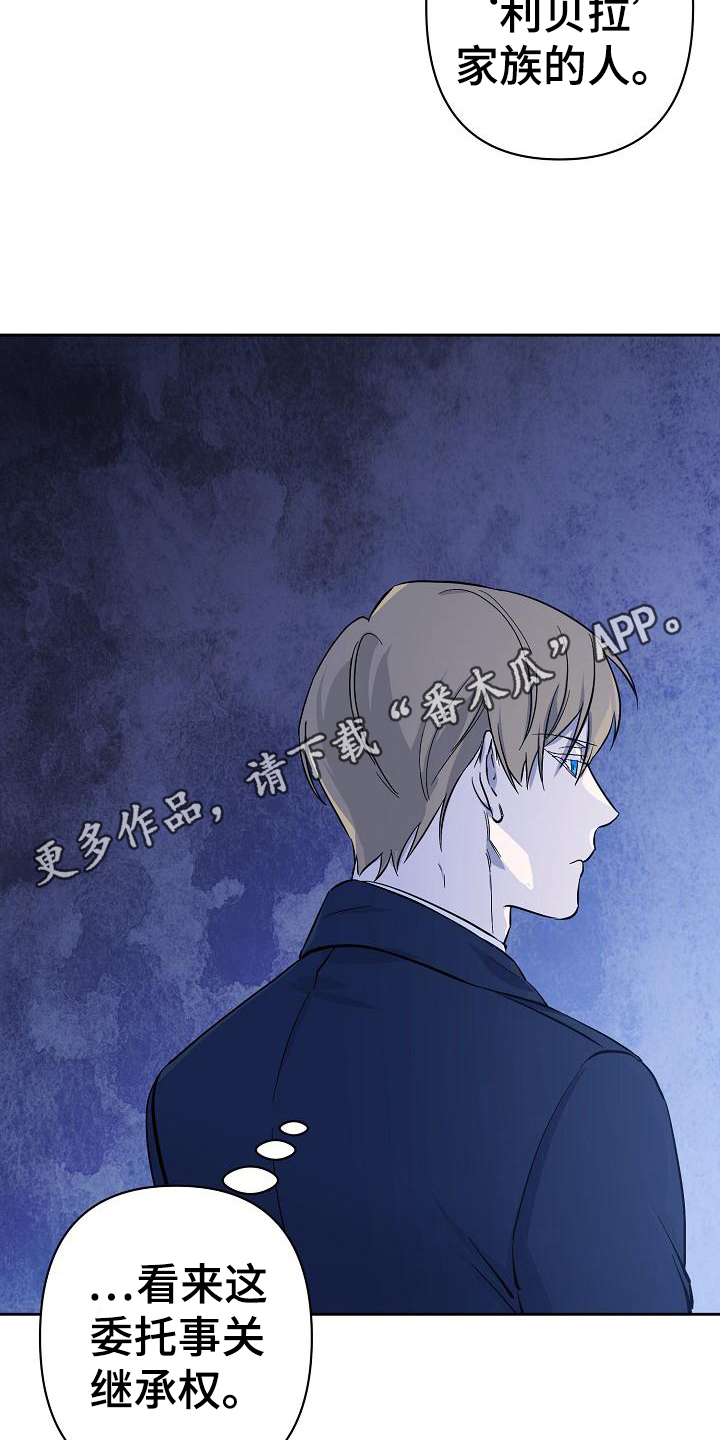第11章：猜测17