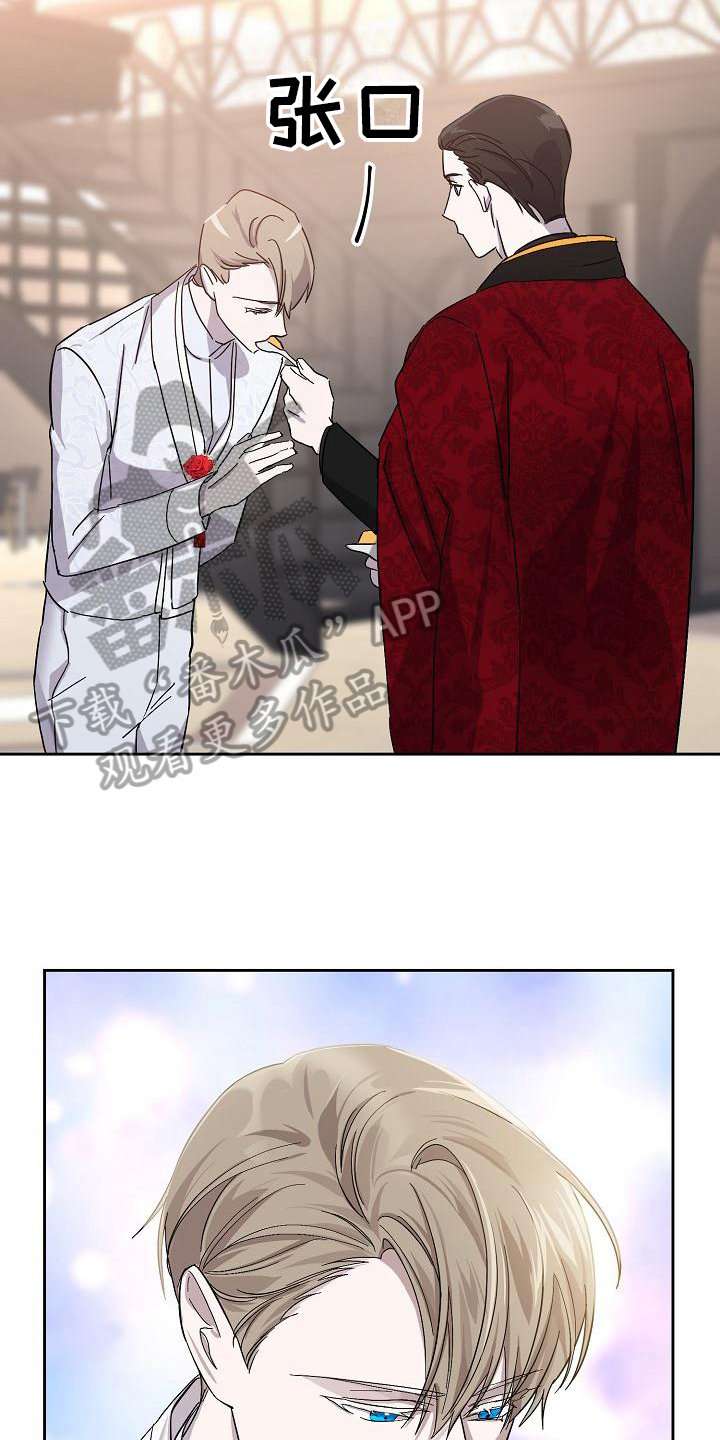 第17章：议论11