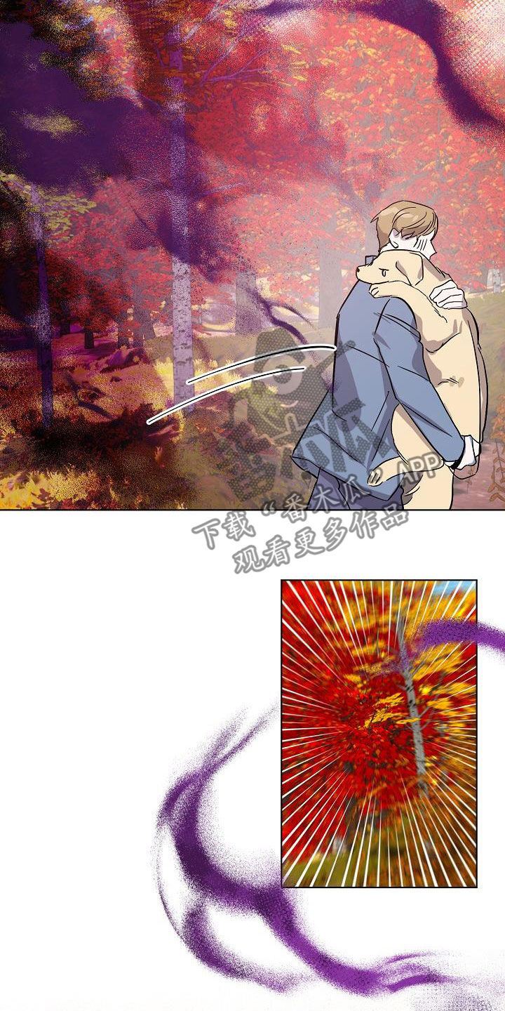 第40章：大胆10