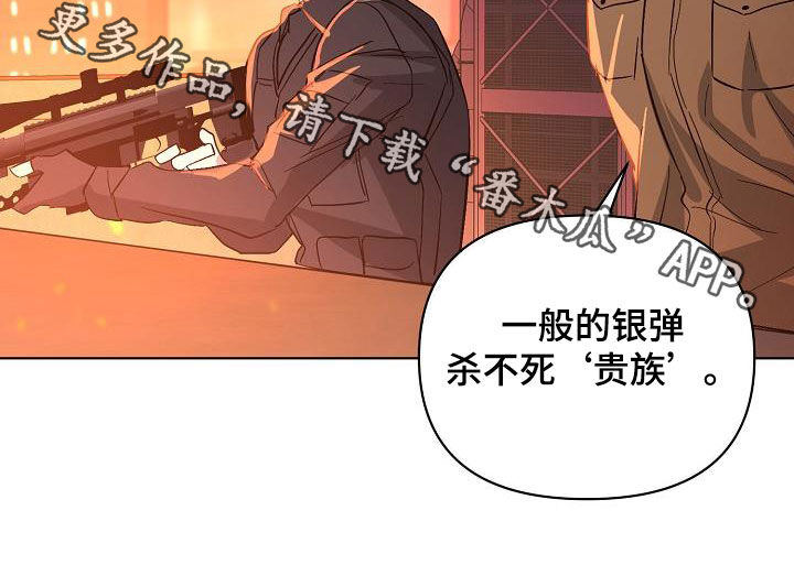 第43章：击杀24