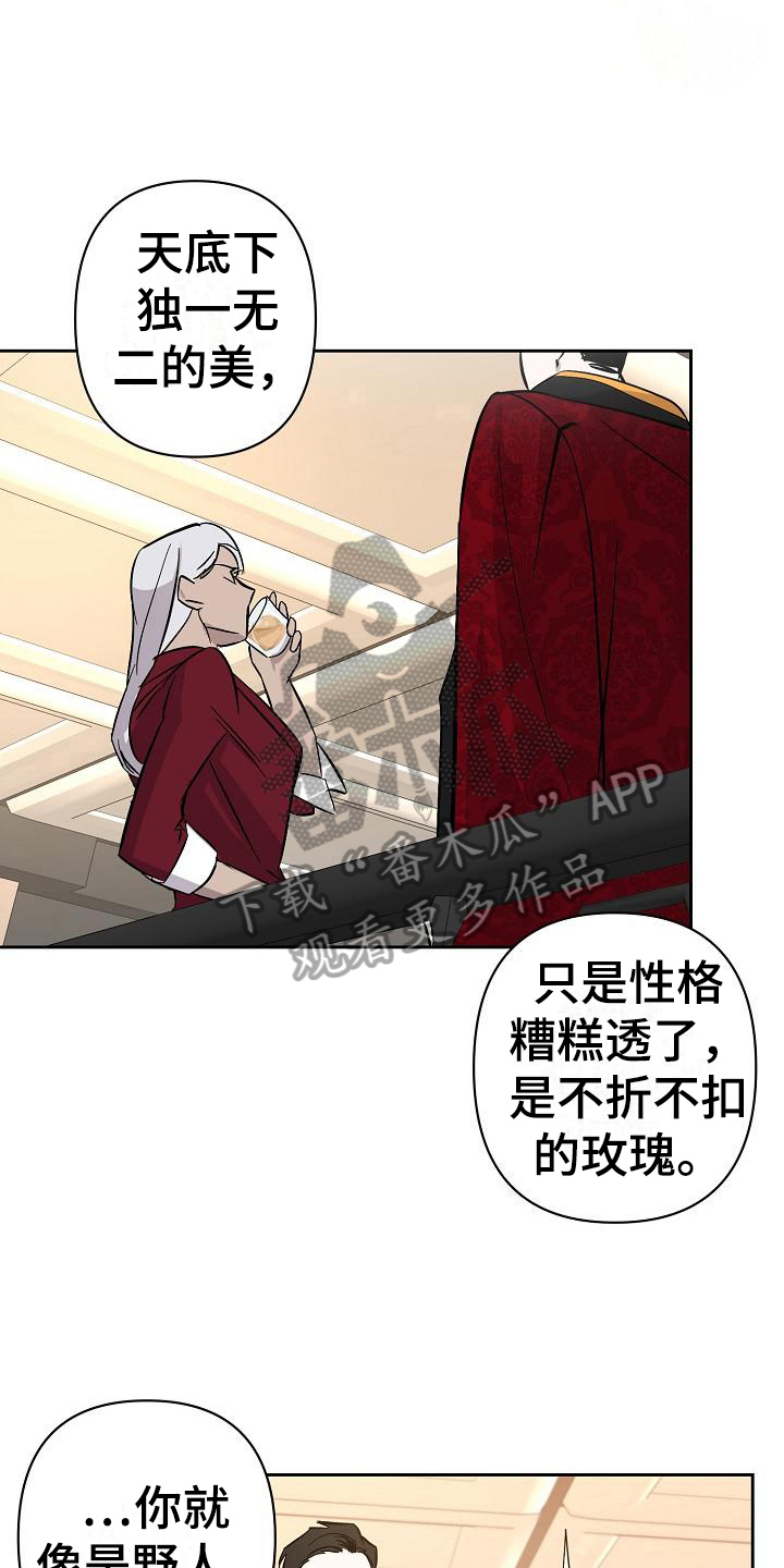 第20章：玫瑰10