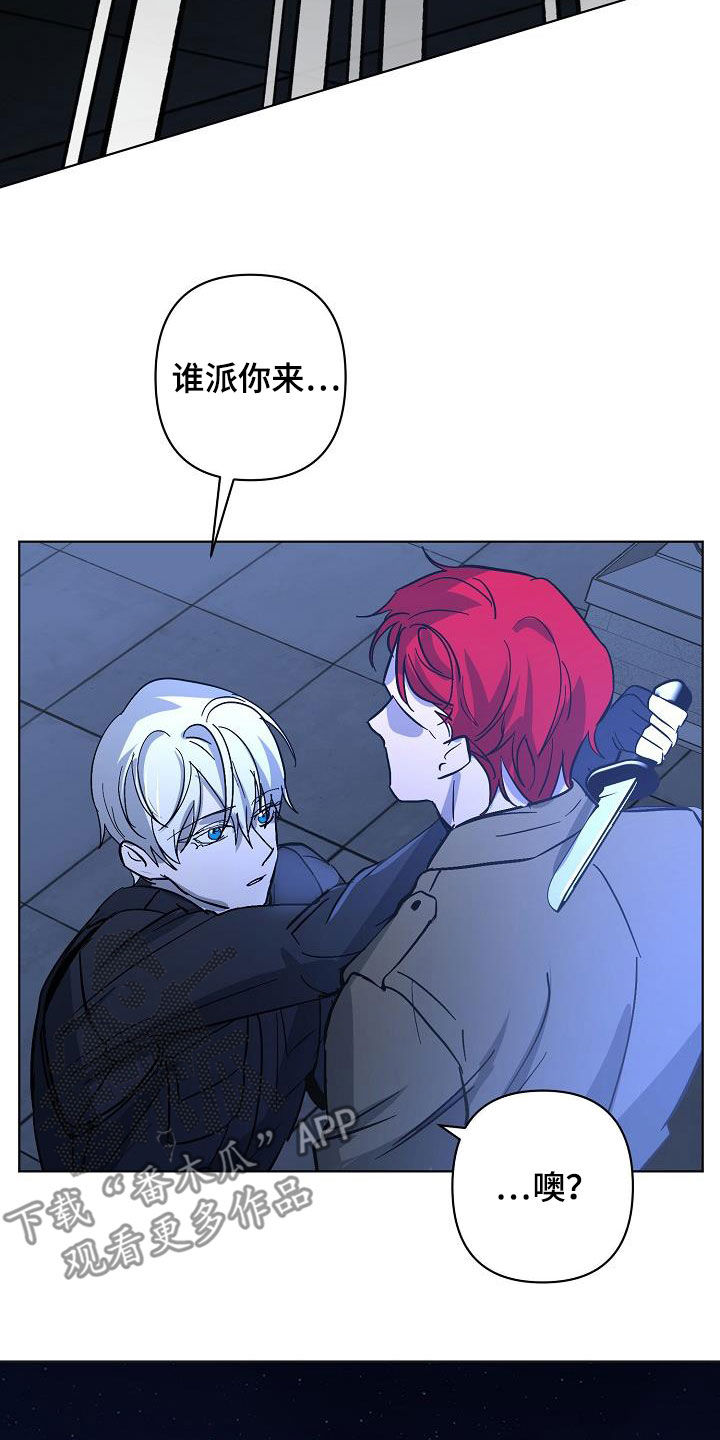 第43章：击杀19
