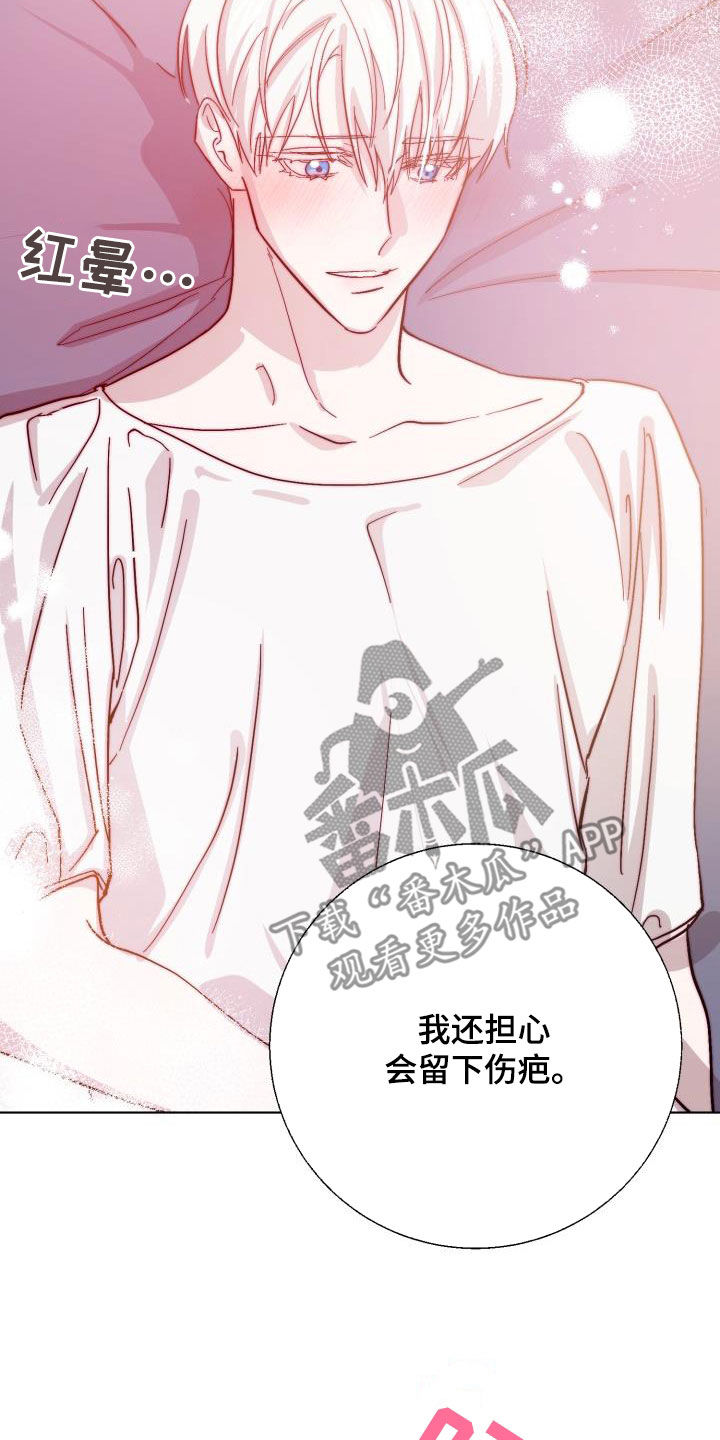 第74章：【第二季】疤痕18