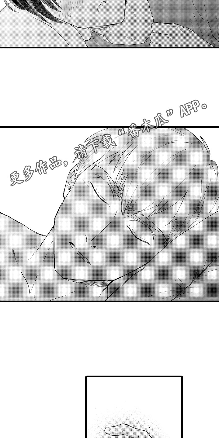 第33章：欺骗 4
