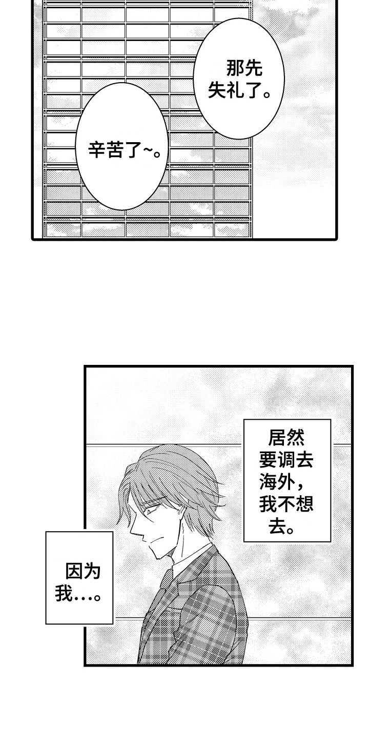 第33章：欺骗 11