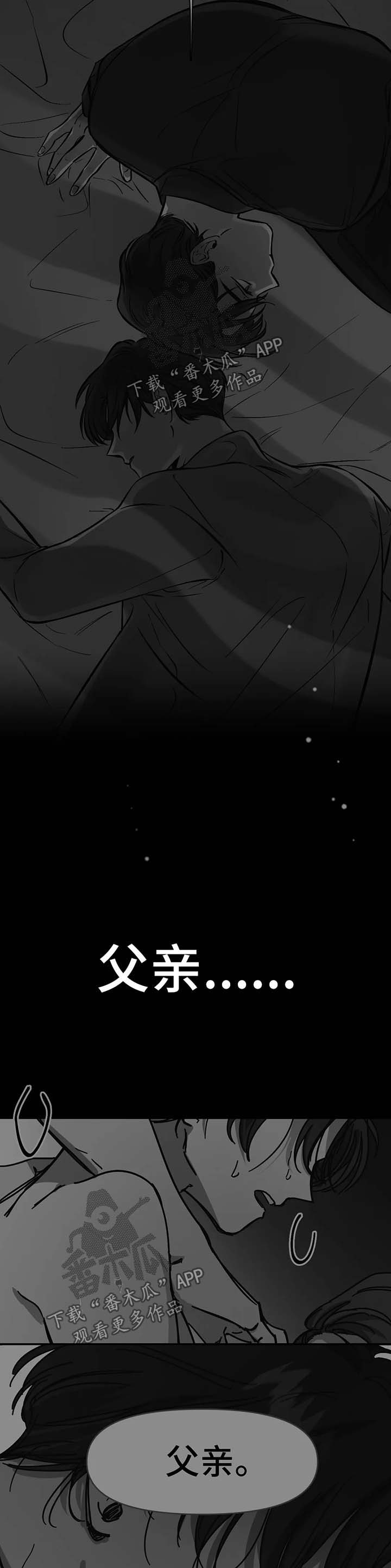 第51章：事实真相8