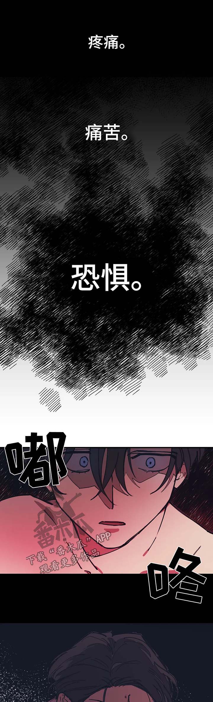 第51章：事实真相0