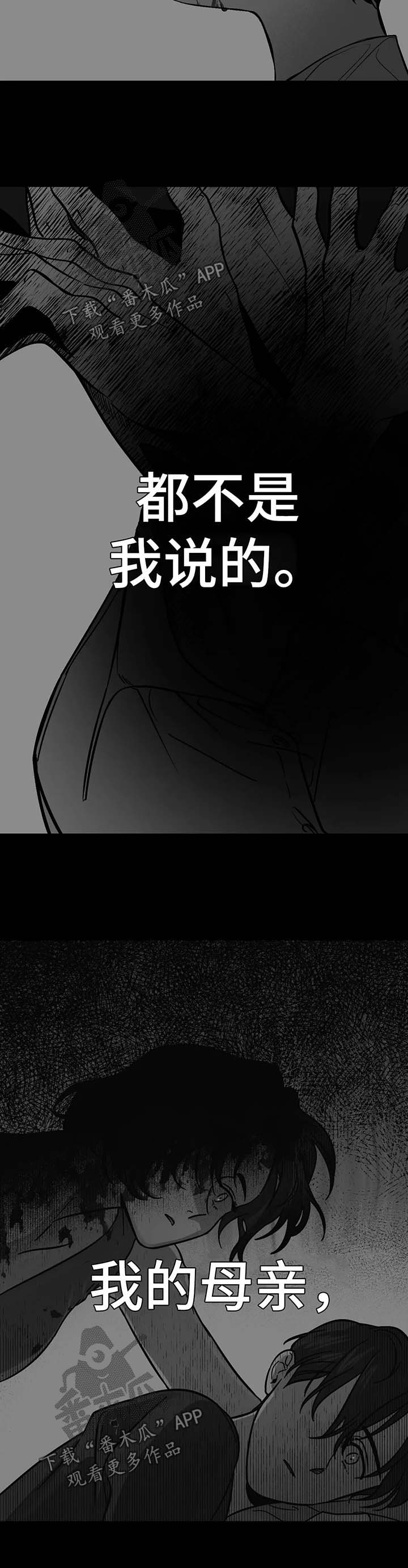 第51章：事实真相6