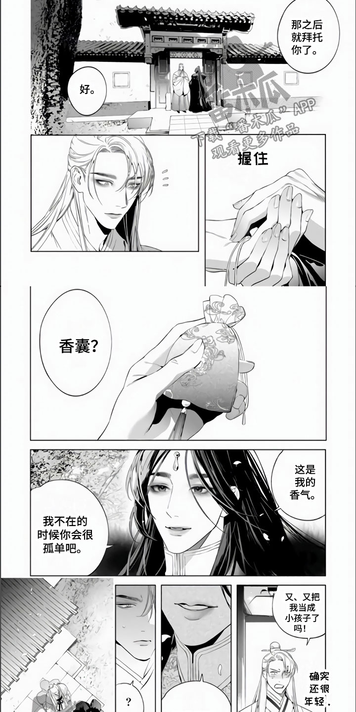 第5章：我的心意6