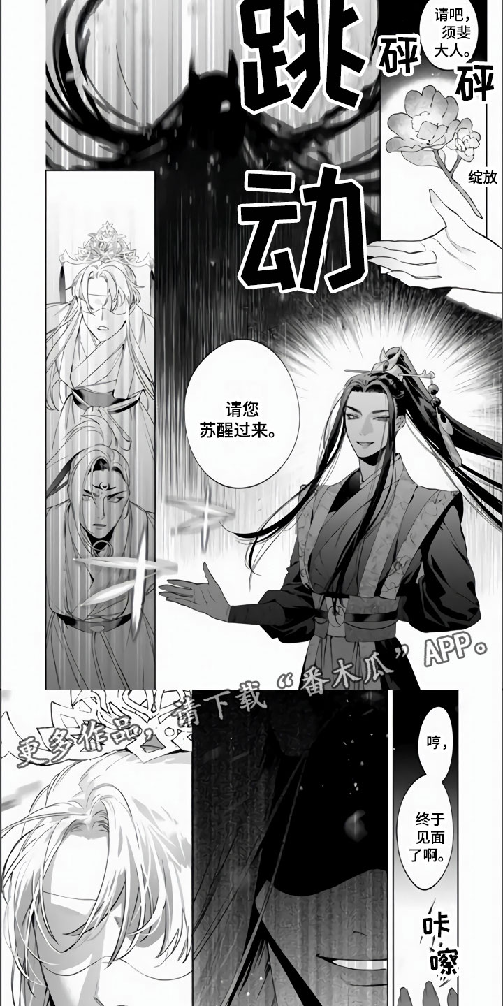 第11章：复活5