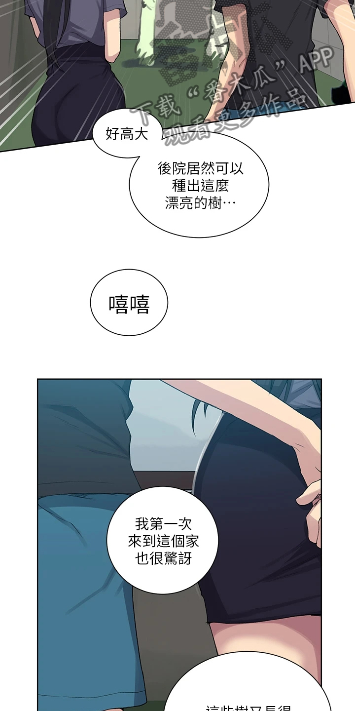 第163章：看树9