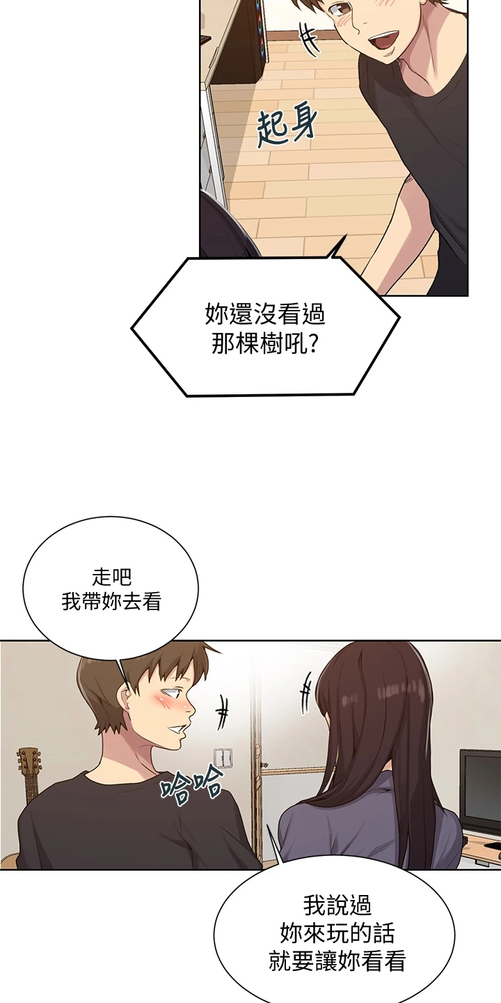 第163章：看树3