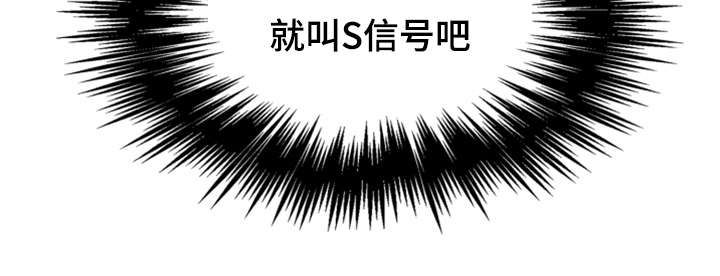 第2章：S信号20