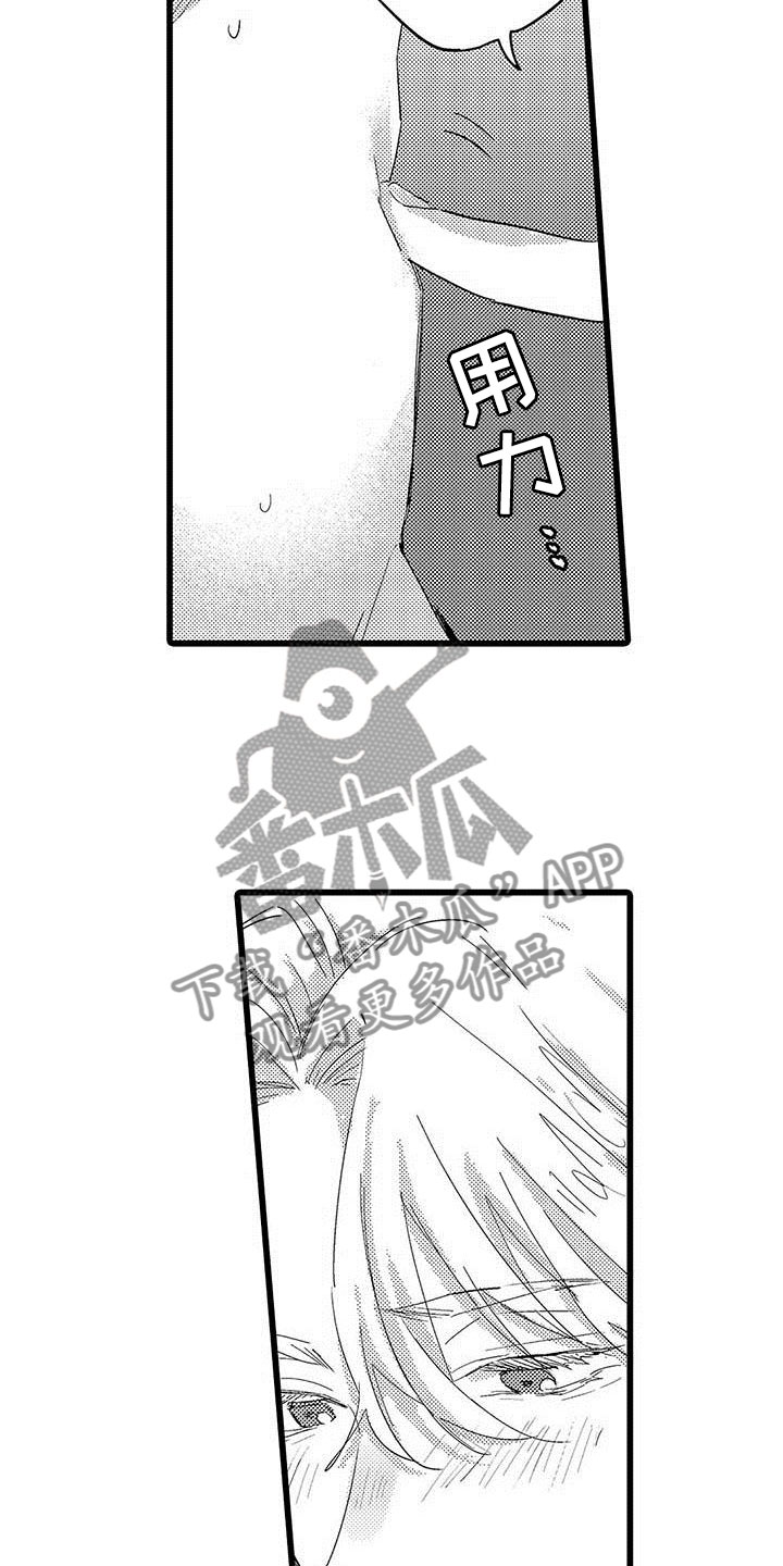 第19章：拥抱13