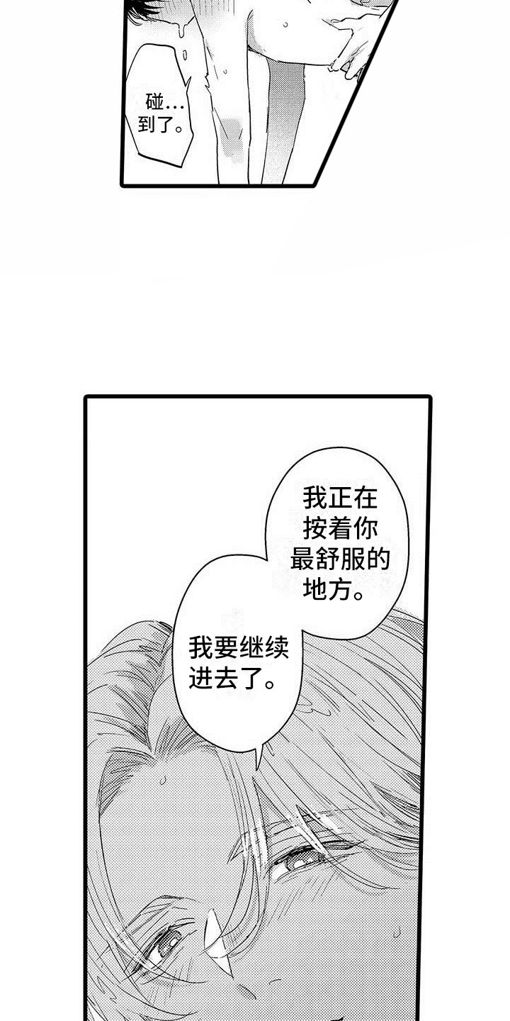 第25章：全部17