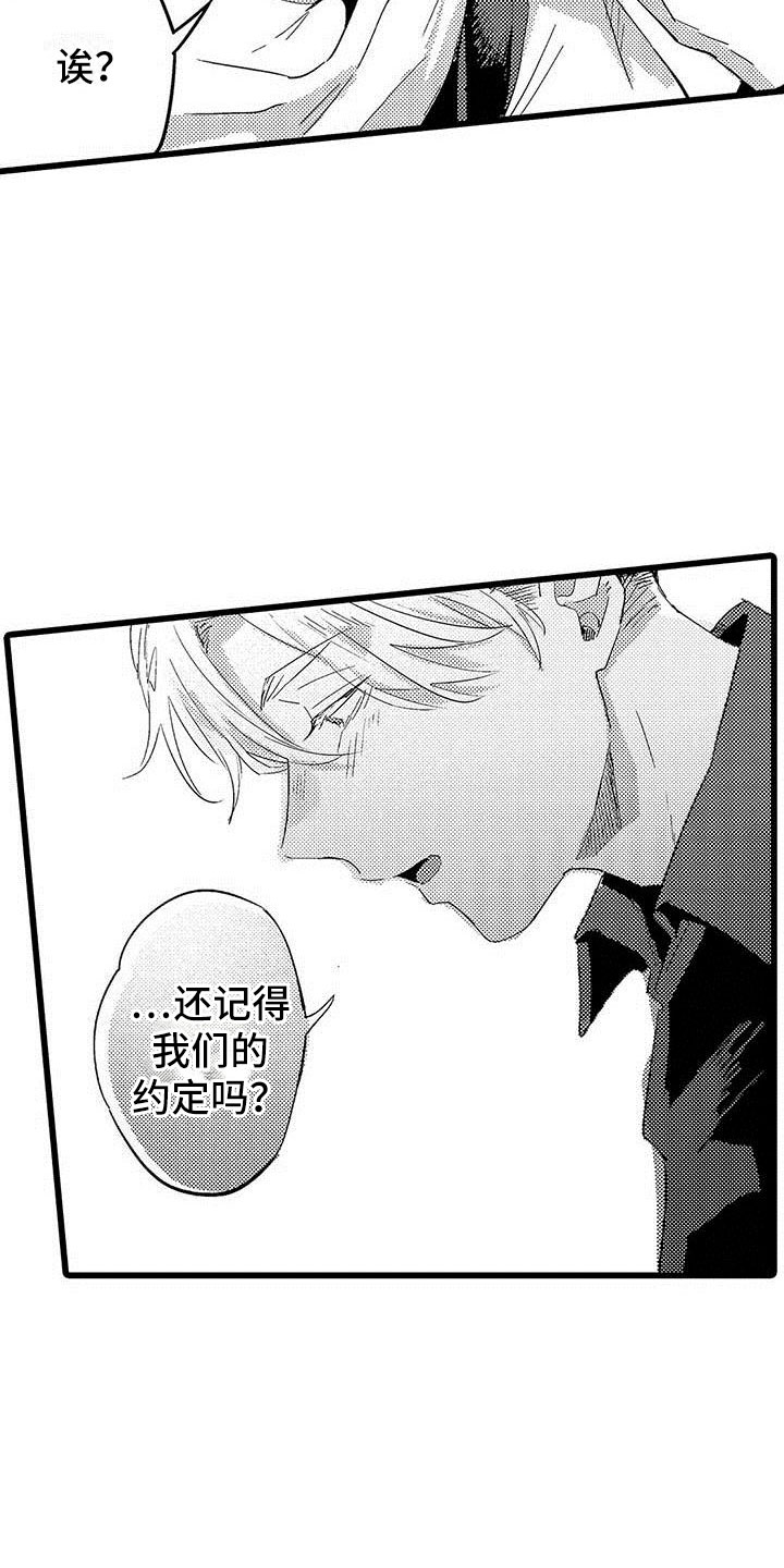 第21章：约定6